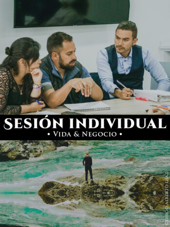 Sesión, Terapia o Guía Individual de: Sincronización Vida & Negocio